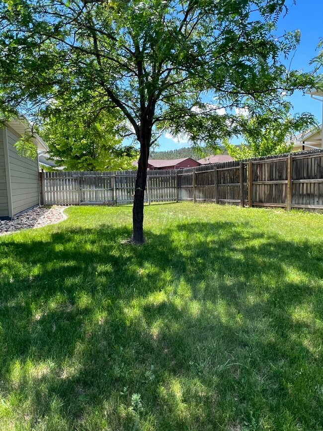 Building Photo - Big, Beautiful Home in Black Hawk/Summerse...