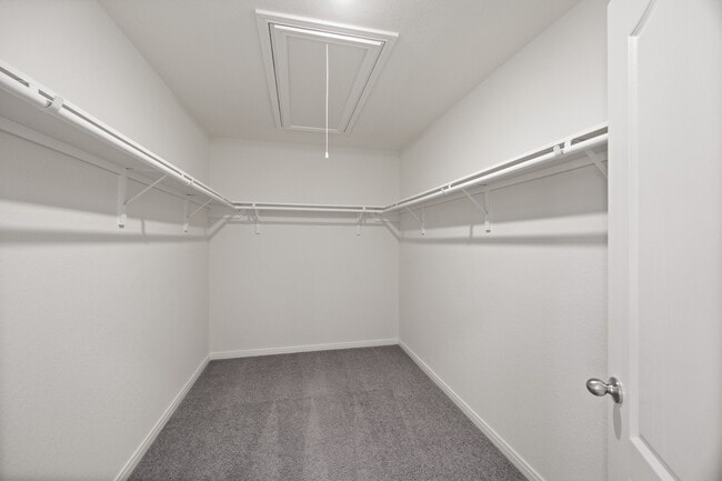 Building Photo - 25619 Cartington Ln