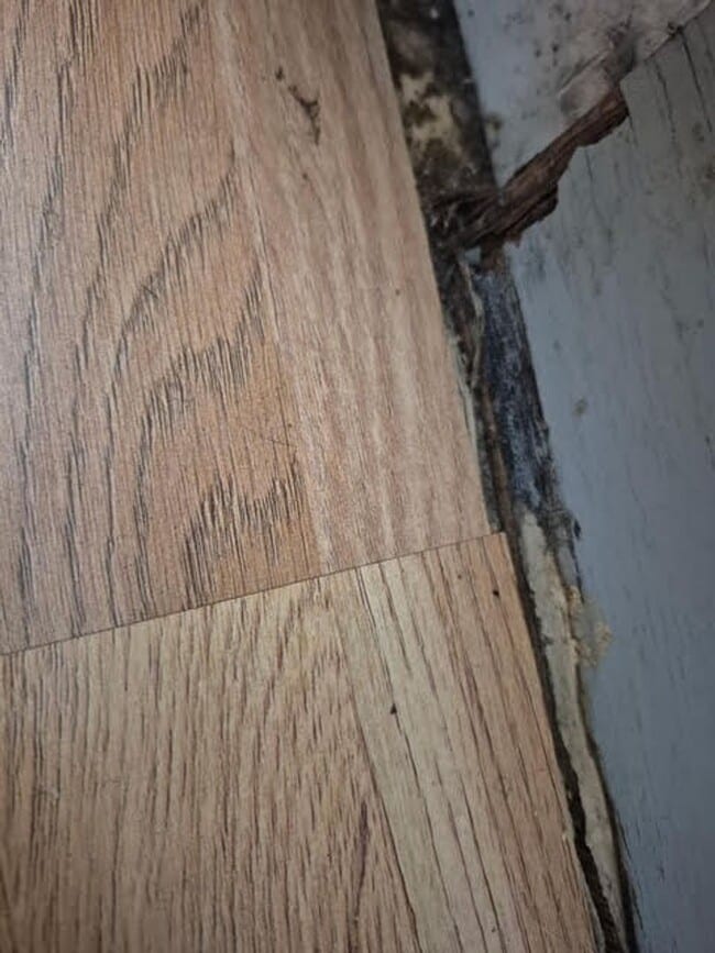 Foto del edificio - 933 Highland Trails Ave