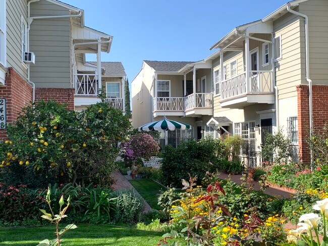 Patio - 1054 Masselin Ave