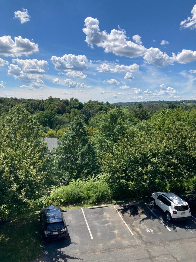 620 Manatawny St Unit 87, Pottstown, PA 19464 Condo for Rent in