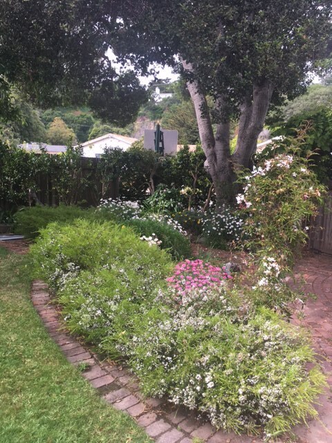 Foto del edificio - 26413 Birch Pl