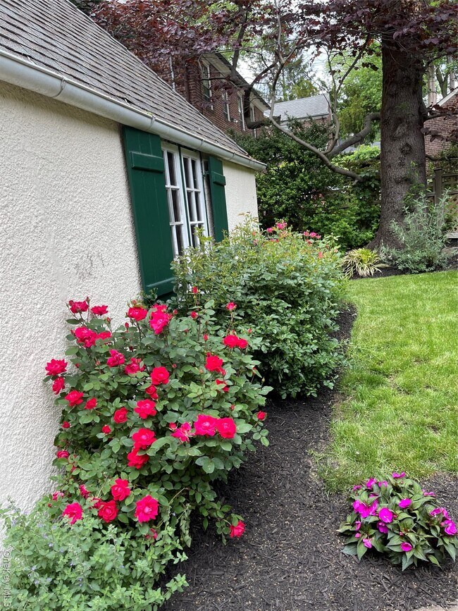 Foto del edificio - 64 Maple Dr