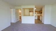 This single-floor space offers a practical and open layout that connects the living area to the kitchen through a defining architectural feature: a half-wall pass-through. This design element visually separates the two zones while maintaining an open, connected feel throughout the space.

The living area is finished with wall-to-wall carpet in a neutral tone, providing a comfortable and cohesive foundation. The kitchen is accessible via the pass-through opening and through a doorway on the right side, and features tile flooring that contrasts with the carpeted living space. Medium-toned wood cabinetry lines the kitchen walls, offering generous storage. White appliances, including a refrigerator, electric range, microwave, and dishwasher, are neatly integrated into the layout. The kitchen also includes a countertop workspace and a sink beneath upper cabinets.

A hallway visible on the left side of the living area leads to additional rooms, with a closet featuring bi-fold doors and a glimpse of a bathroom beyond. Overhead fluorescent lighting in the kitchen provides functional illumination. The overall aesthetic is clean and straightforward, with a neutral color palette throughout.