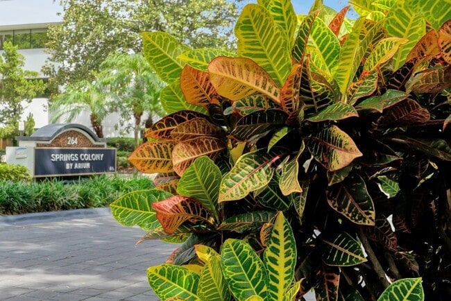 Building Photo - Springs Colony by ARIUM