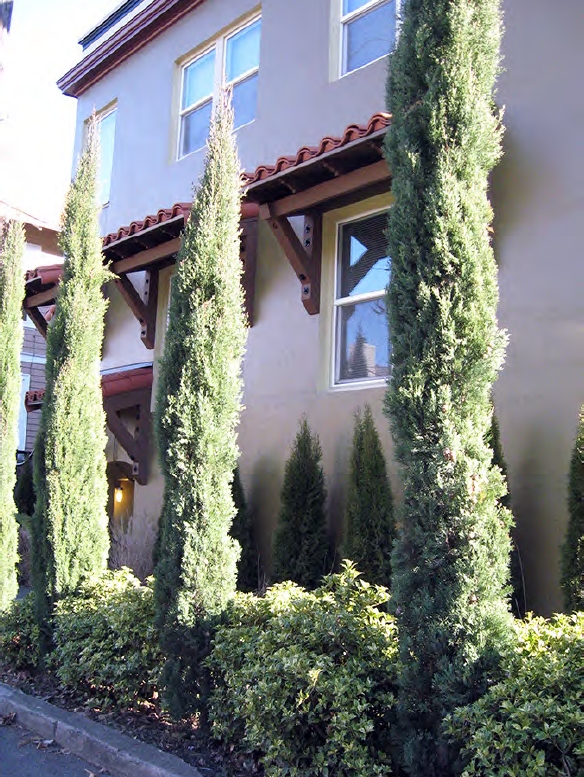 Building Photo - Villa Serena