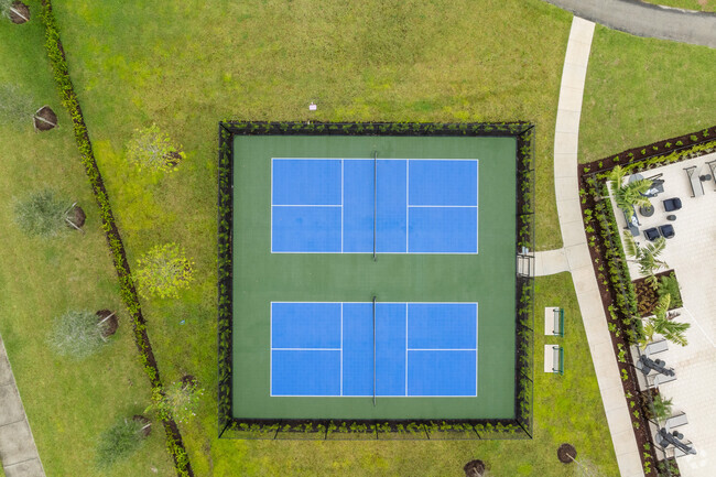 Canchas de Pickleball - Tavalo Tradition