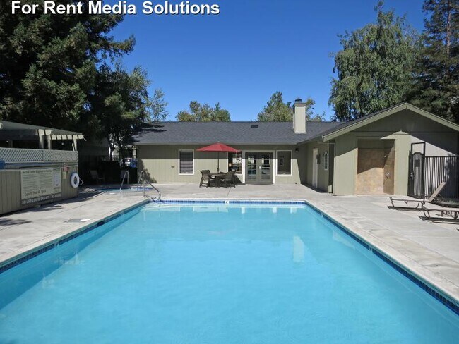 ¡Piscina refrescante - TRACY PARK