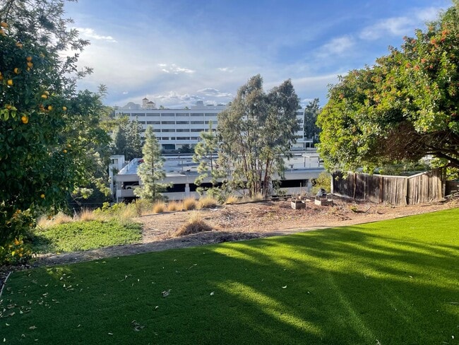 Building Photo - Great Views! Large 5 Bed 2 Bath House with a Quick Walk to Campus!!