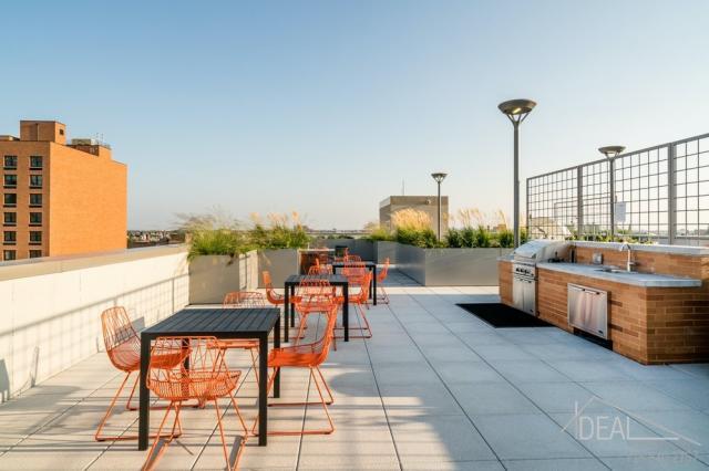 Foto del edificio - bedroom in brooklyn NY 11226