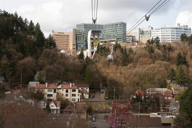 Foto del edificio - TreeHouse