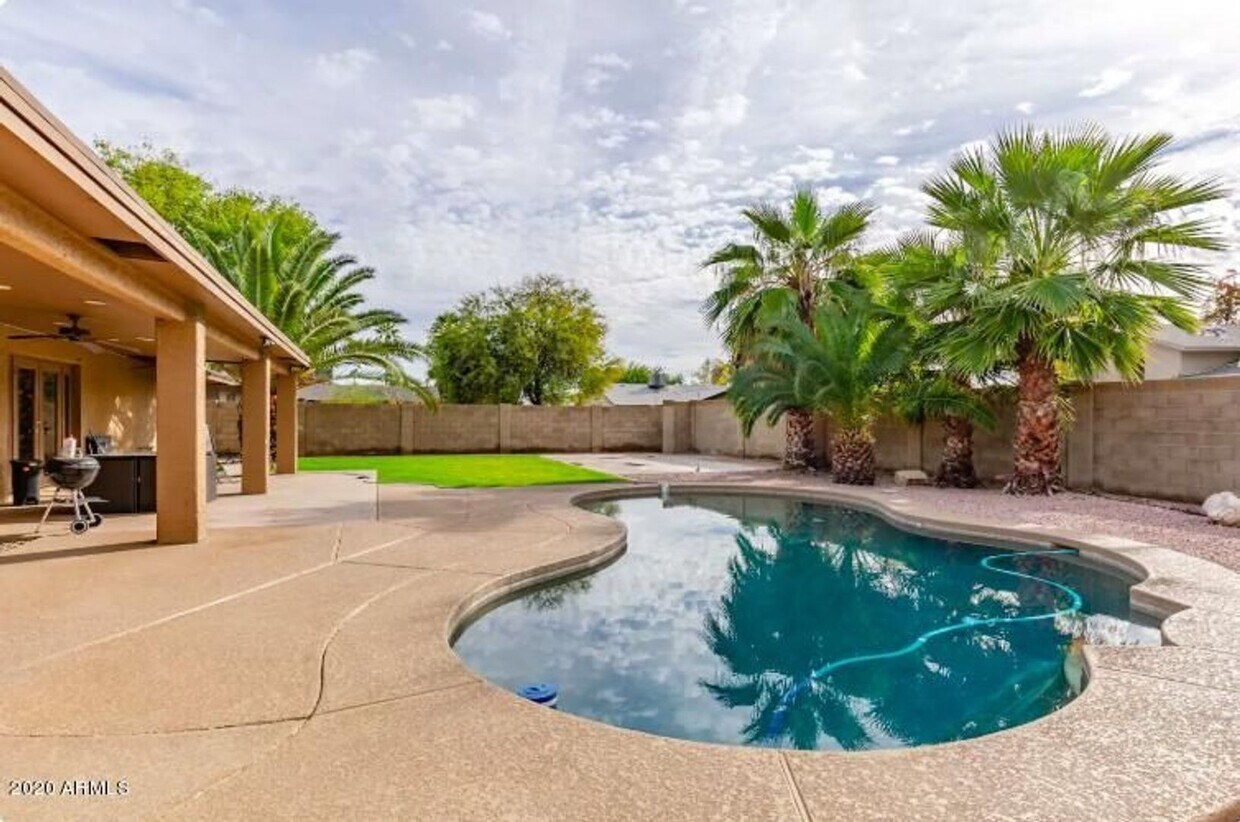 Primary Photo - Beautiful Tempe home with pebbletec diving...