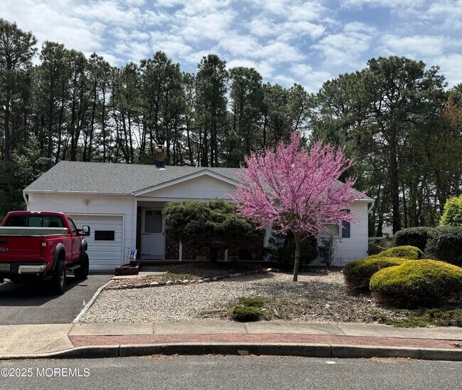 Foto del edificio - 24 Upton Ct