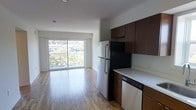This single-floor unit features an open-concept layout that seamlessly connects the kitchen and living area, creating a functional and airy living space. The kitchen is outfitted with rich dark-toned wood cabinetry, light-colored countertops, a stainless steel refrigerator, and a built-in dishwasher. Storage is well-distributed with both upper and lower cabinets. The living area extends from the kitchen, featuring light hardwood-style flooring throughout that adds warmth and continuity to the space. A large sliding glass door dominates the far wall of the living area, flooding the interior with abundant natural light and providing direct views of mature trees and the surrounding neighborhood rooftops. The clean white walls and bright ceiling enhance the sense of openness. The overall ambiance is modern and minimalist, with a neutral palette that provides a versatile backdrop for various interior styles. The combination of natural light, outdoor views, and an open floor plan makes this a comfortable and inviting space.