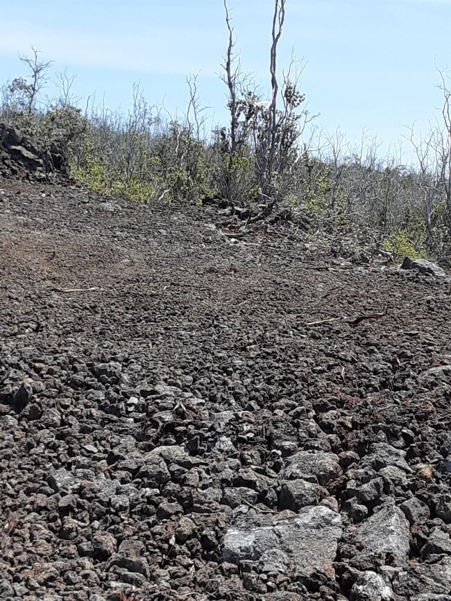 Building Photo - 92-8985-9194 Tiki Ln