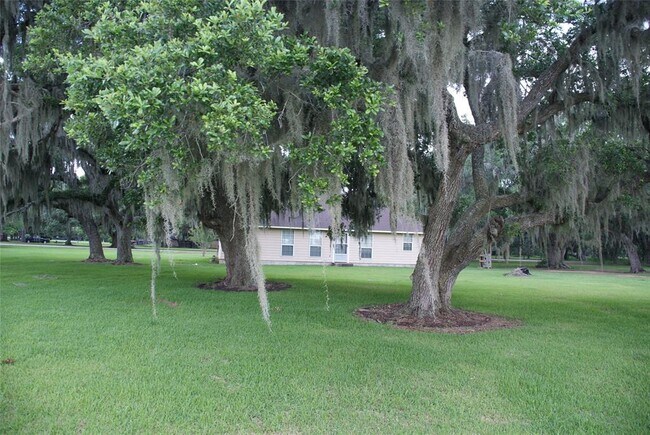 Building Photo - 8415 Reterio Dr