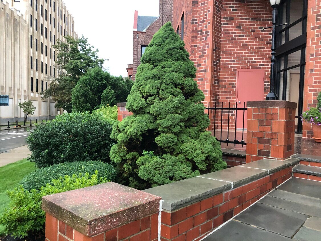 Foto principal - 44 Elm St