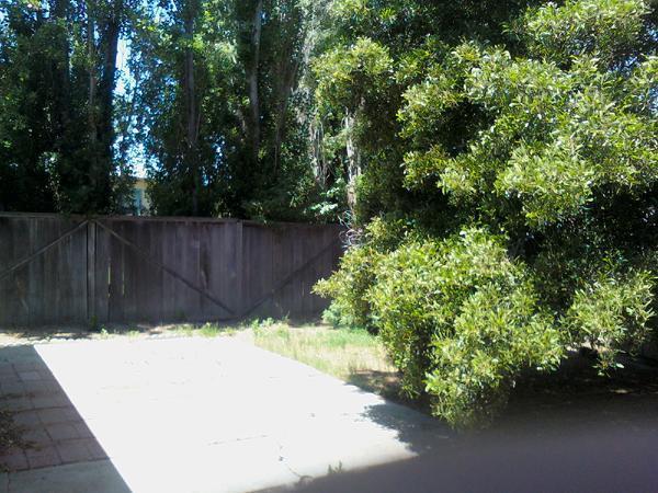 Foto del edificio - Charming San Mateo Home for Rent...