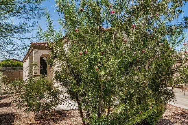 Building Photo - Beautifully Updated Home in Desirable Buck...