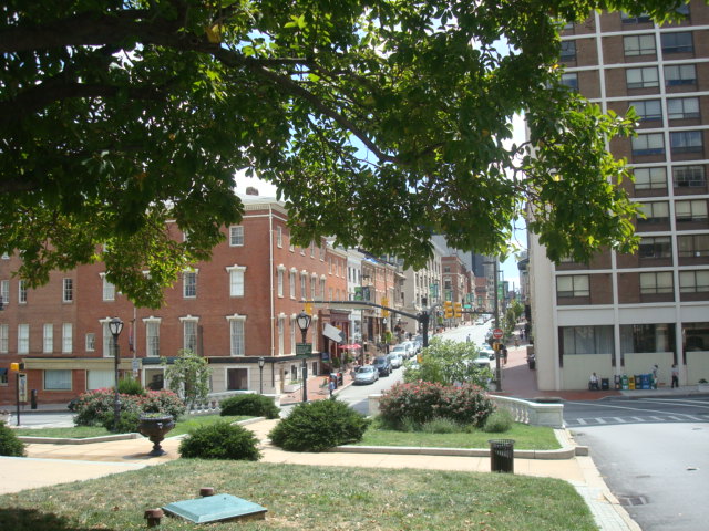 View from park - Westminster House Apartments, 62+ age