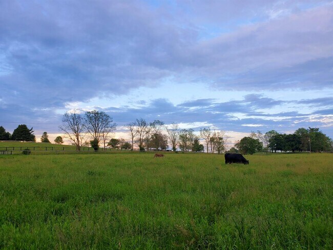 Foto del edificio - 2793 Bowman Mill Rd
