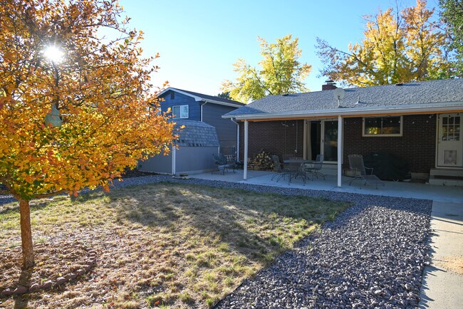 Backyard - 2526 E Caramillo St