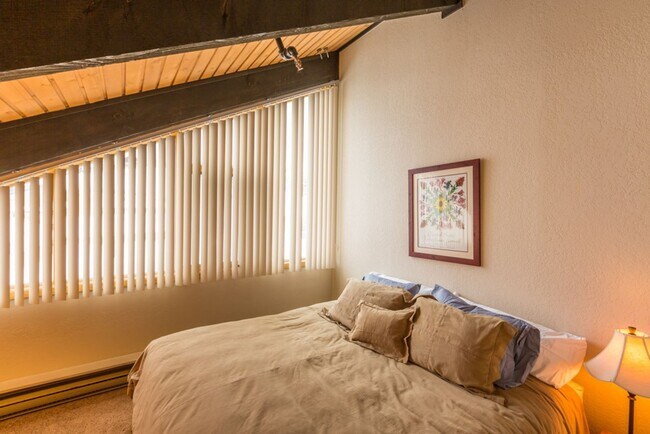 Foto del edificio - 2 bedroom/2 bathroom condo in Mount Crested Butte