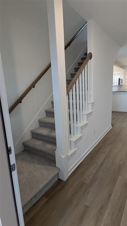 Foto del edificio - 441 Bristlecone Bend