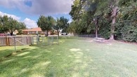 This single-level outdoor space presents a generously sized, open grassy yard that serves as a functional and versatile exterior area. The lawn is well-kept and expansive, offering ample open space for a variety of outdoor activities. A notable feature of this space is the chain-link dog kennel structure situated toward the left side of the yard, comprised of multiple interconnected enclosures suitable for housing or exercising animals. To the right side of the property, a picnic table provides a dedicated outdoor seating area, ideal for relaxing or gathering beneath the natural canopy of mature trees that line the perimeter. The surrounding chain-link fence defines the boundary of the property clearly, providing security and enclosure without obstructing views of the neighboring landscape. Tall, leafy trees on the rear and right edges of the lot offer substantial shade and a sense of seclusion. The overall ambiance of this space is practical and open-air, with a natural, green character defined by its lush lawn and tree coverage. The property is situated in a residential setting, with neighboring brick structures visible beyond the fence line, contributing to the established, community-oriented character of the surroundings.