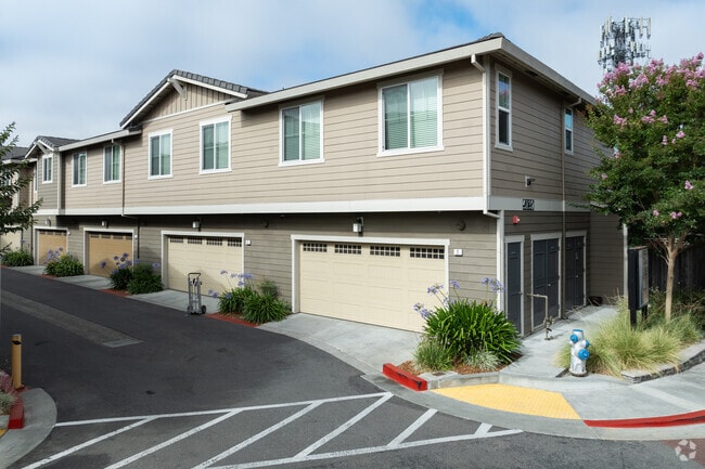 Building Photo - The Reserve Rohnert Park