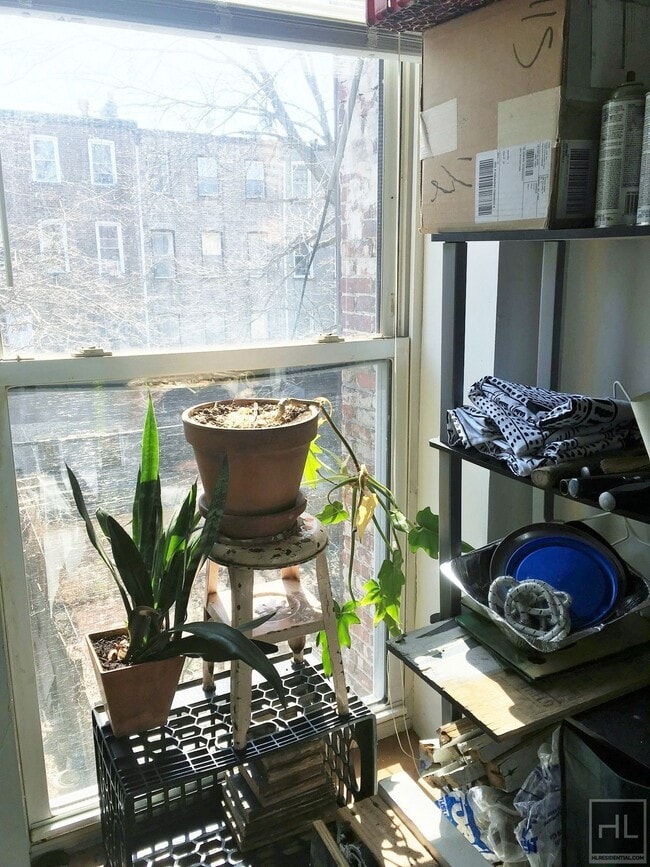 Foto del edificio - 444 Halsey St