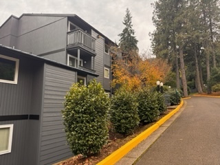 Primary Photo - Forest Village Apartments