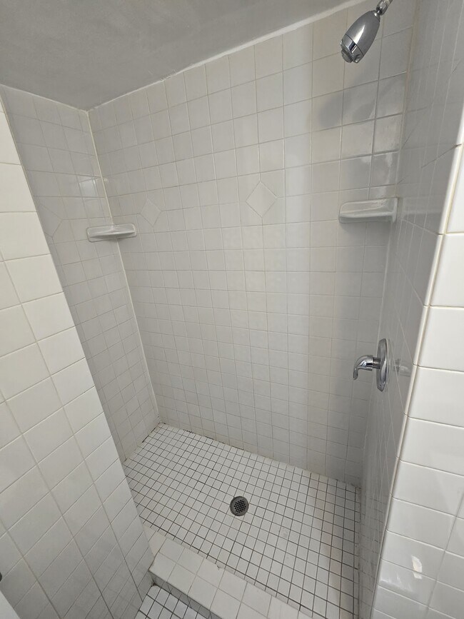 Lower Bath - 4401 Irving Ave N
