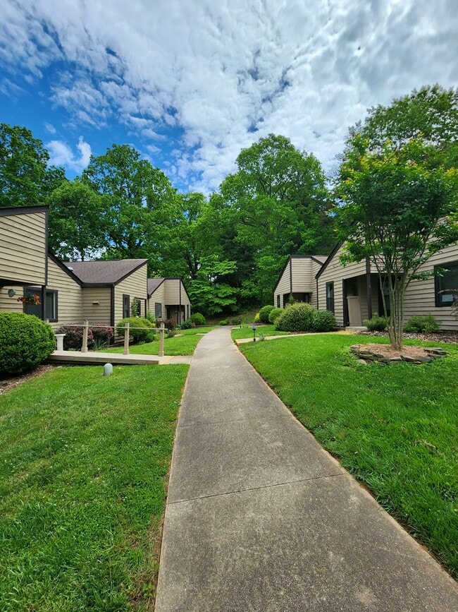 Building Photo - Black Mountain Rental!