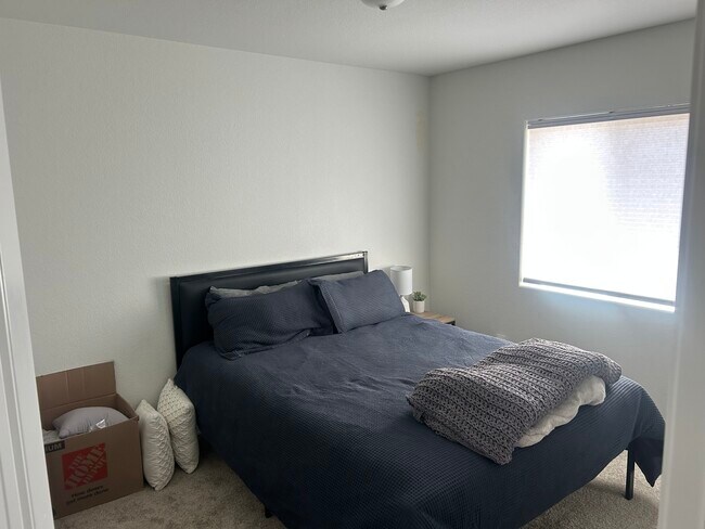 Foto del edificio - 3731 Vineyard Cir