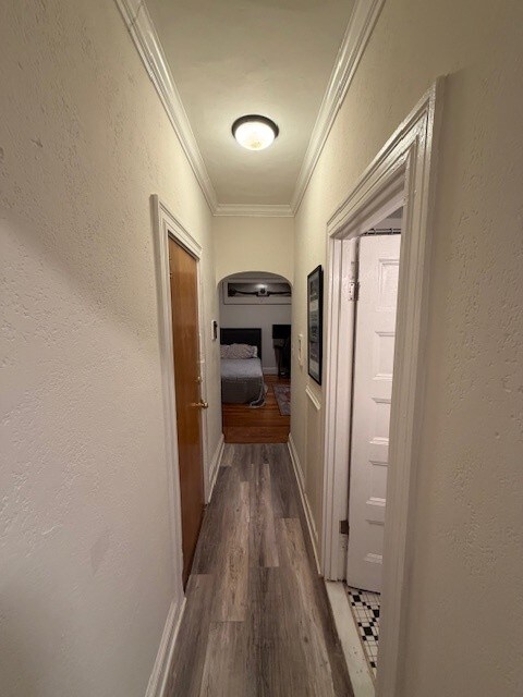 Building Photo - 67 Medway St