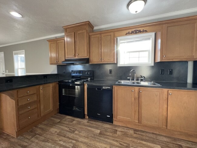 Building Photo - 237 Field Pine Dr