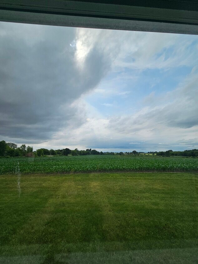 View behind apartment - 106 W Rose Eld Rd