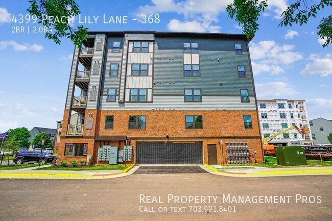 Foto del edificio - 4399 Peach Lily Ln