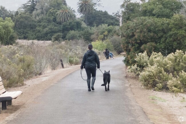 You can take your dog for a walk at Lake Los Carneros.