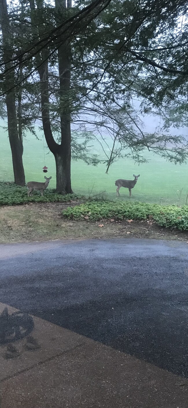 Driveway with space for 2 cars - 360 S State Rd