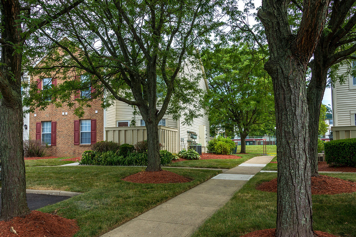 Primary Photo - The Village at Appian Way