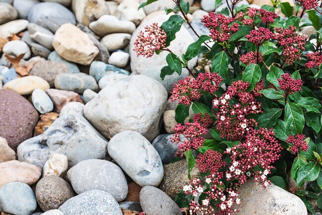 Foto del edificio - 1314 Maple