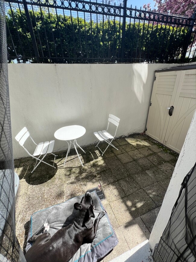 Outdoor Patio - 36 Peterborough St