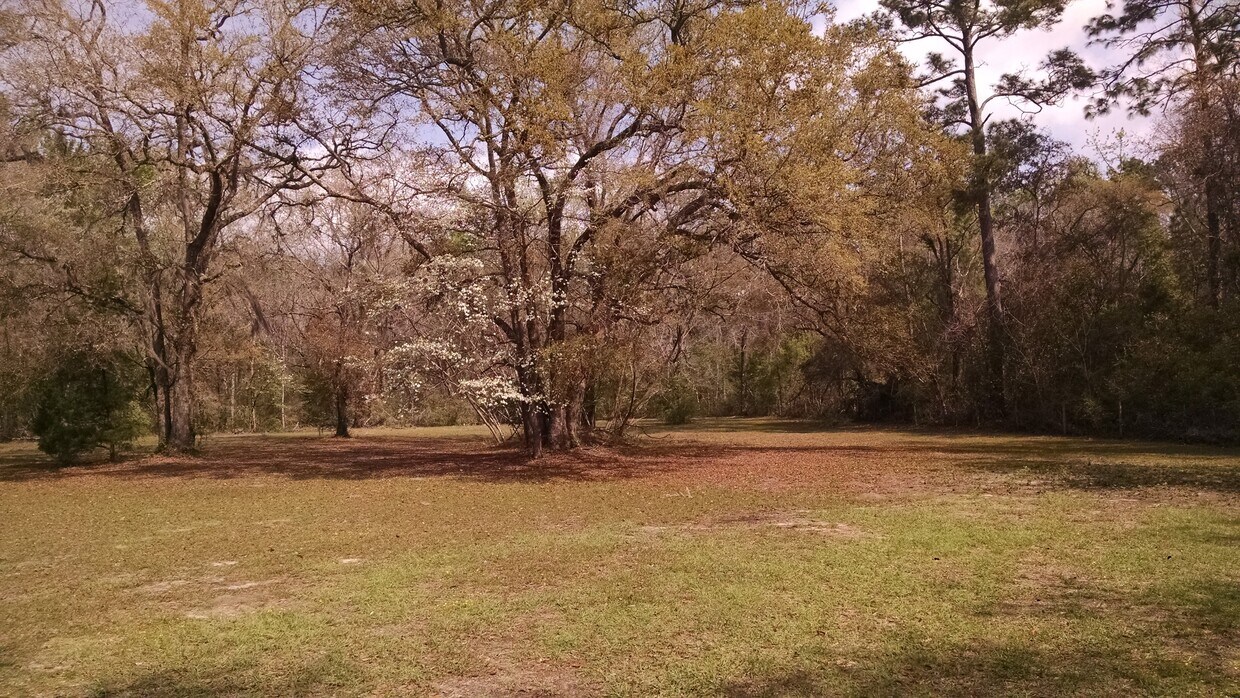 92 Mill Creek Road, Crawfordville, FL 32327 House Rental in
