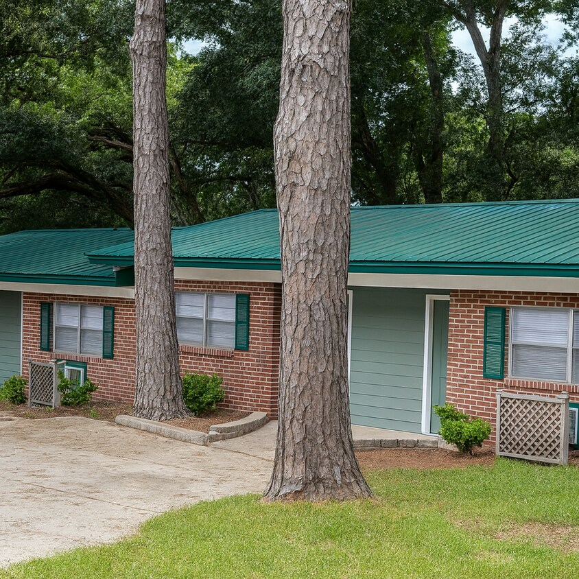 Primary Photo - True 1 Bedroom Near FSU