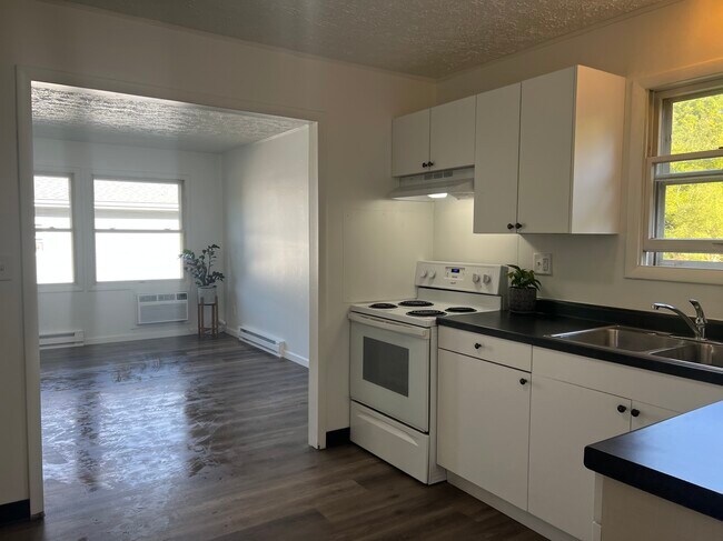 (these are photos of renovated, comparable unit - similar finishes) - 703 E Bullock St