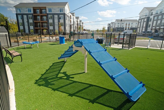 Dog Agility Park - James Run Apartments