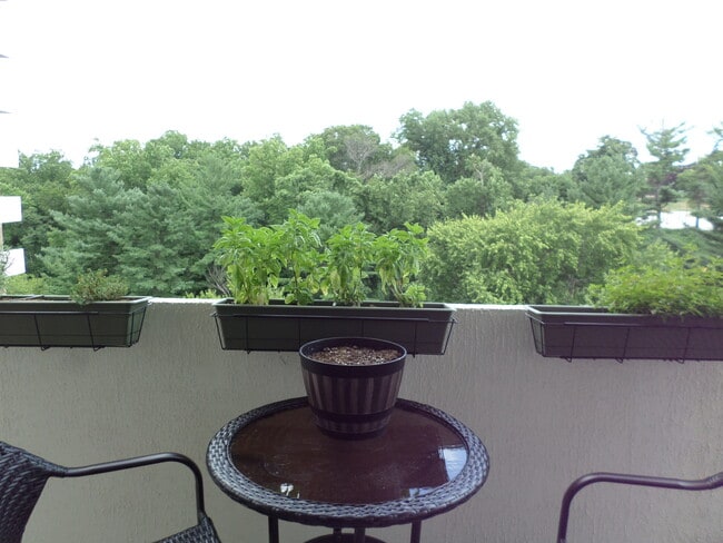 Building Photo - 2939 Van Ness St NW