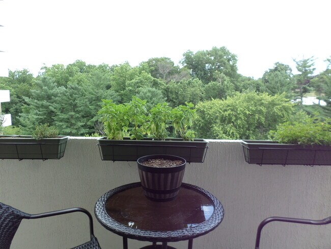 Foto del edificio - 2939 Van Ness St NW